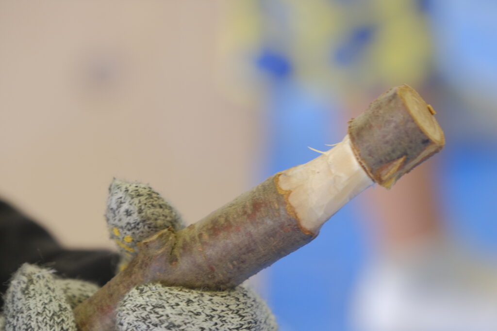 木が嫌がらない削り方だと表面はすべすべに